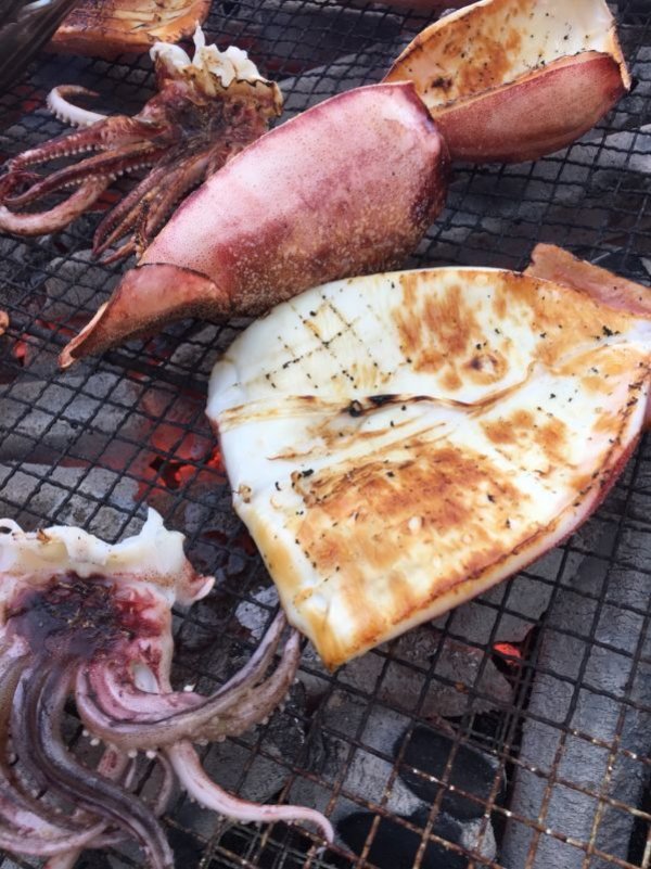 炭火で丁寧に焼き上げた 鰺ヶ沢名物生干し焼きイカ 100g×5