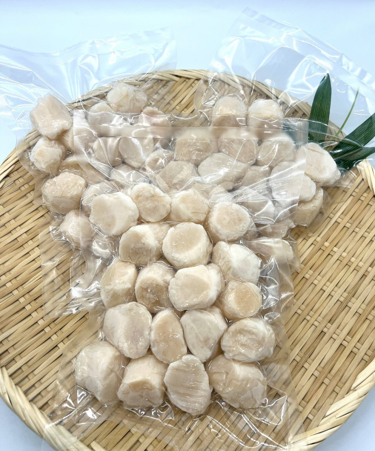 画像2: 訳アリ不揃い小粒　青森県陸奥湾産　【上質】刺身用ホタテ貝柱３００g (１８〜２０玉）×３袋セット（5％off） (2)